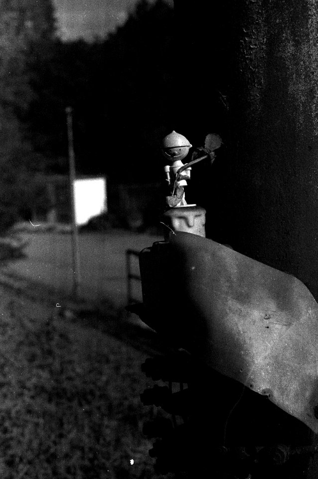 Ricoh TLS 401 with Helios 44-2 - Little Inhabitants of Abandoned Places 05