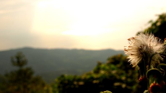 Taiwan's Taitung County