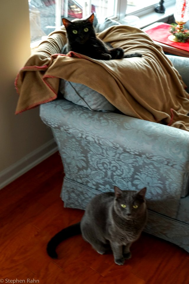 Smokey and Sparkey