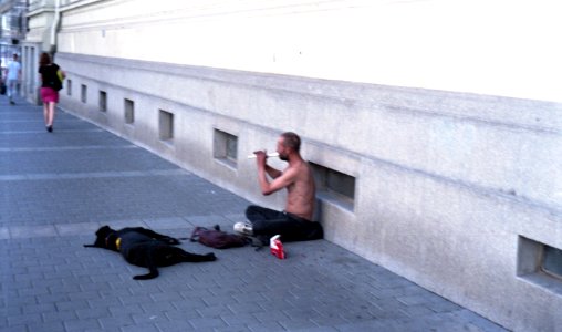Vega II - Street Musician with a Dog