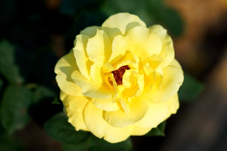 DSC05434