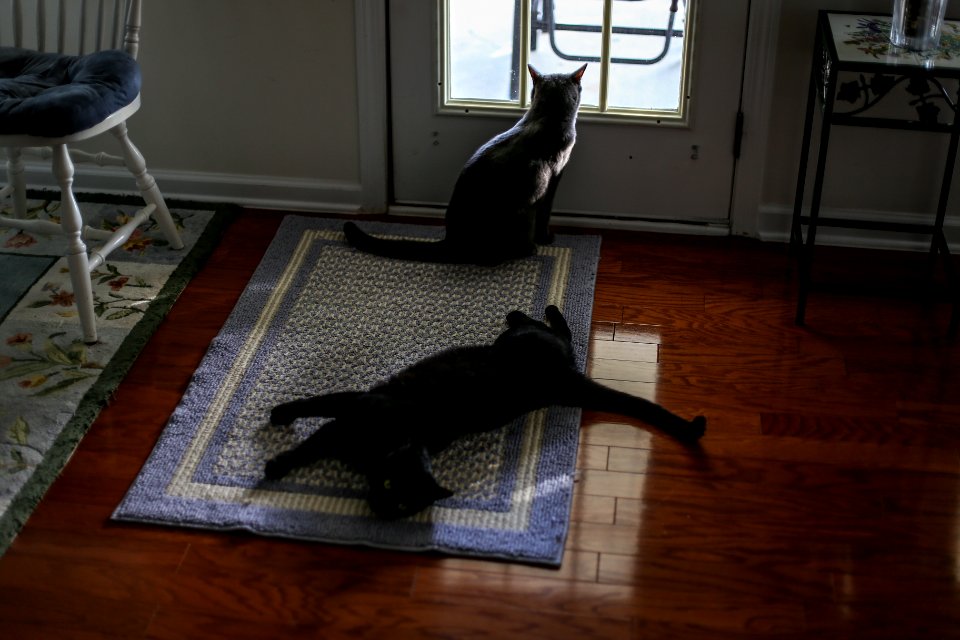 Partners in Crime