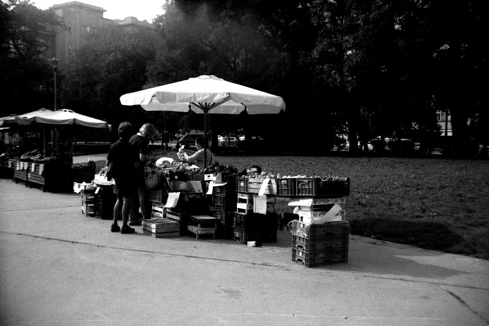 Siluet Elektro - At Vegetable Market 2