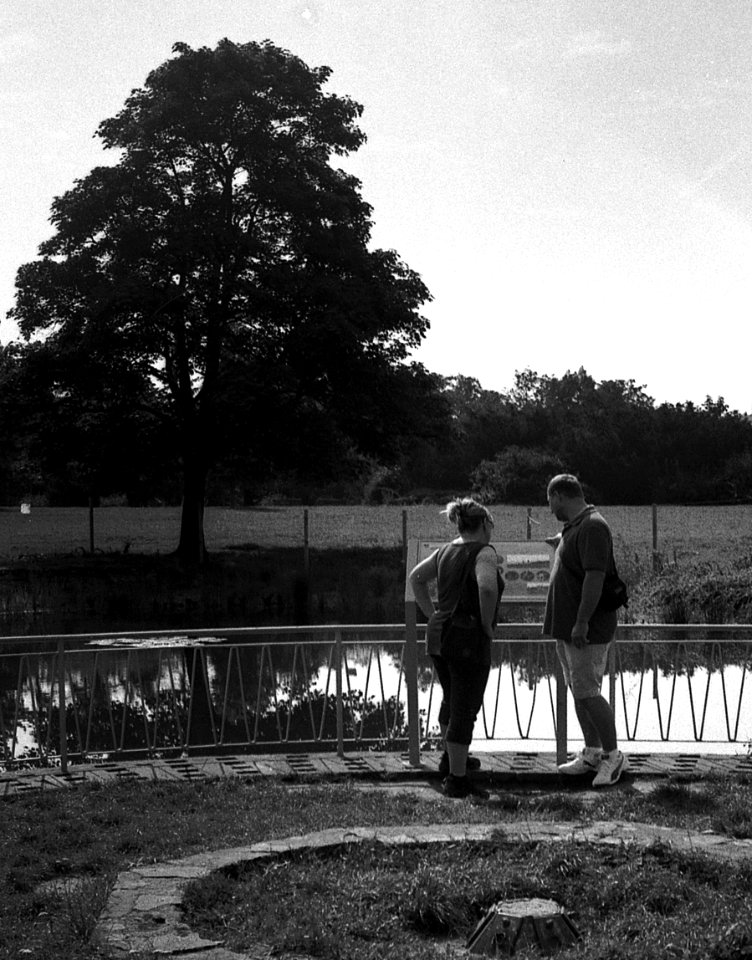 Lomo 135VS - Pond and Tree 1