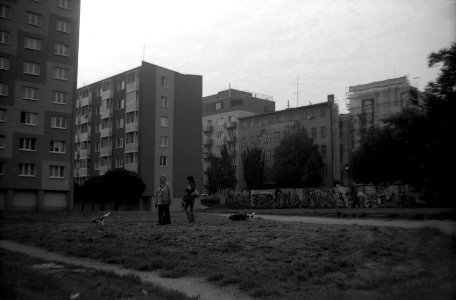 Siluet Elektro - Woman with Dogs photo