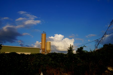 DSC02916
