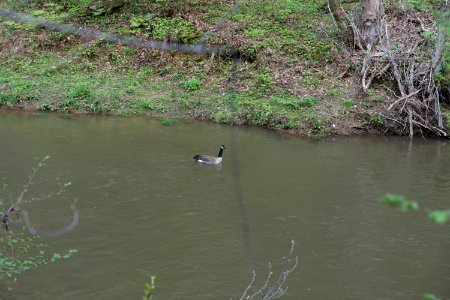 DSC00986