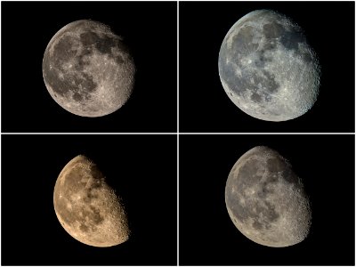 A Lunar Quartet photo