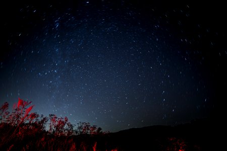 Star Trails - Five Minute Exposure photo