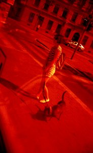 Vilia - Redscale - Girl with a Dog photo