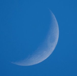 Daytime Moon over Kennesaw