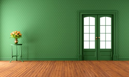 Empty green living room with sliding door photo