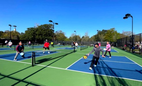 Day 79 - Serious Pickleball! photo