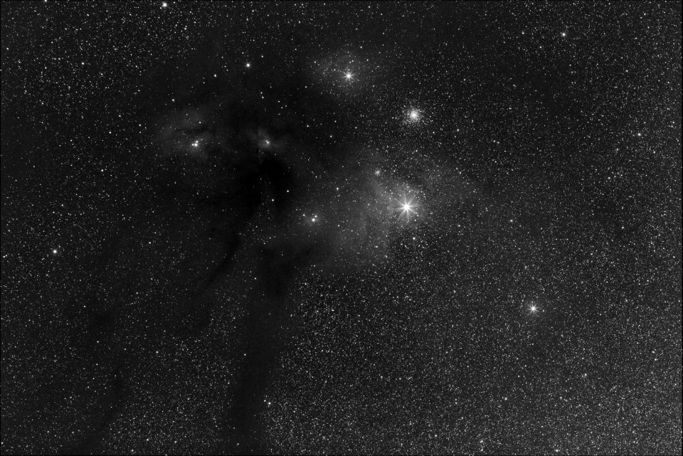 Rho- Ophiuchus Region