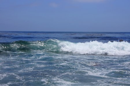 DSC08125