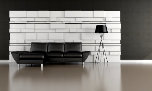 black and white living room photo