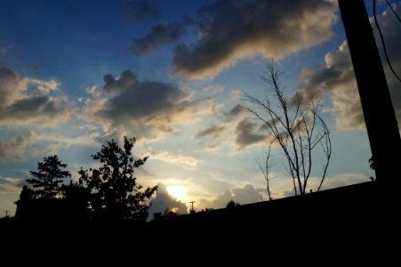 DSC02924