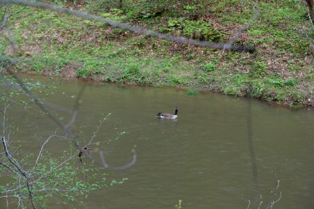 DSC00985