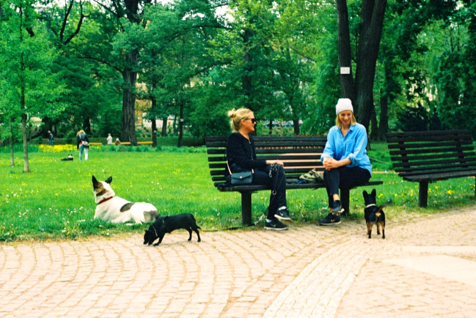 Praktica MTL 5 +  Helios 44-2 2/58 - Rest in Lužánky Park 2