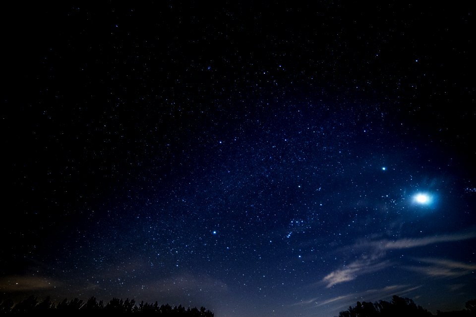 Starry Sky Over North Georgia