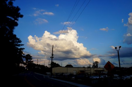 DSC02933