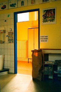 Praktica MTL 5 +  Helios 44-2 2/58 - European Parliament Election in Czech Republic - Election Room