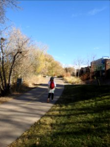 Springer Natural Area - Fort Collins.