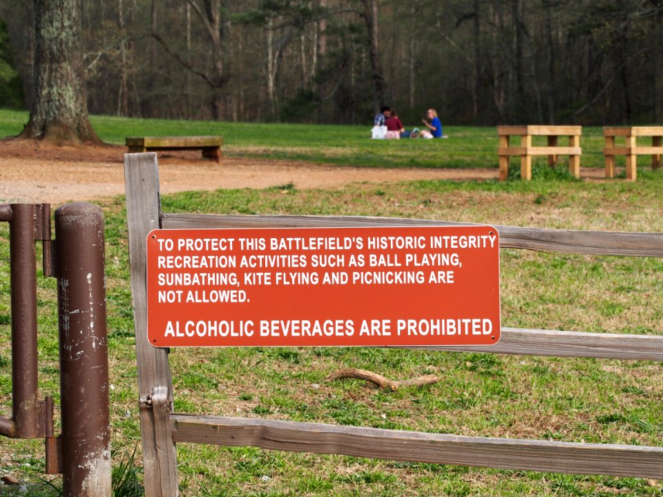 Illegal Picknickers