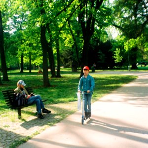 Vilia-Auto - Park Scene 03
