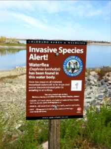 On the trail at Boyd Lake State Pk - Loveland, CO.