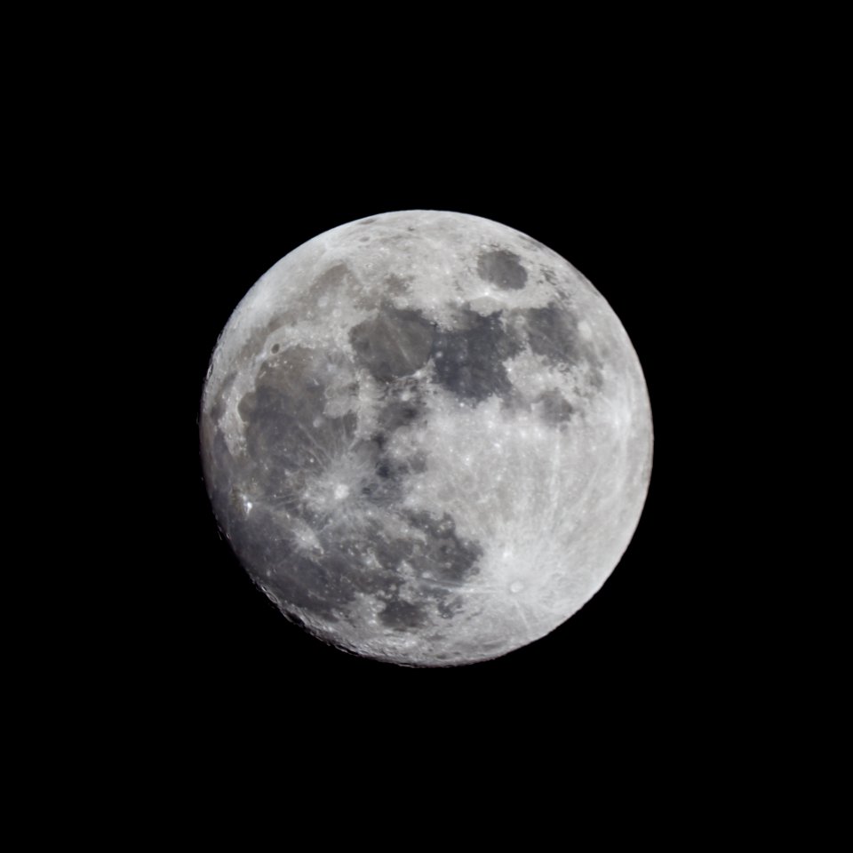 The moon like a flower in heaven's high bower, with silent delight, sits and smiles on the night. - William Blake