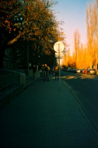 Vilia - Street in Evening Sunlight