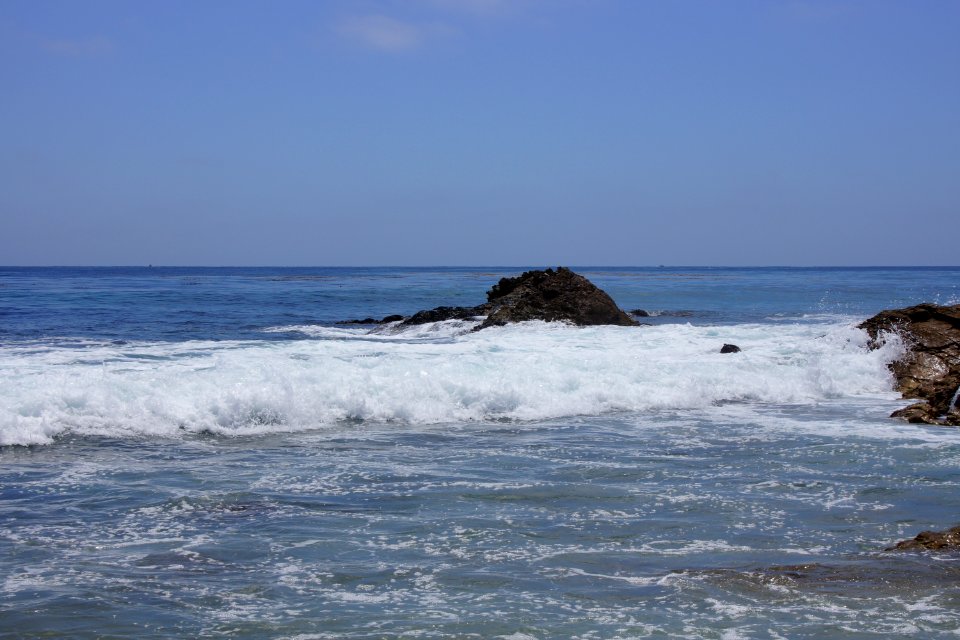 DSC08126