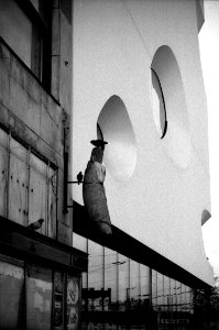 Pentax Espio 170SL - Pigeons 1