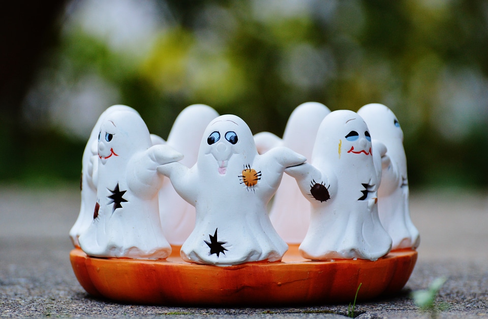 Group cute foraging haunting