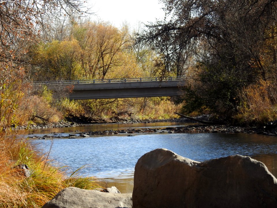 Springer Natural Area - Fort Collins.