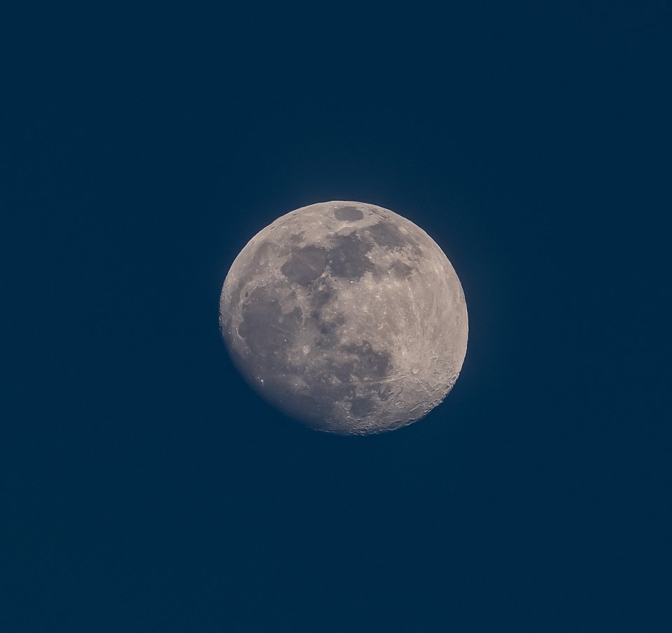 Day 26 - Daytime Waxing Gibbous Moon on 1-25-21.