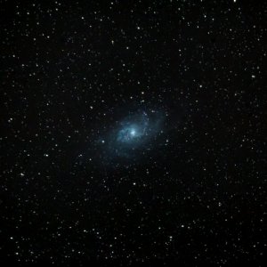 M33 - Triangulum Galaxy photo