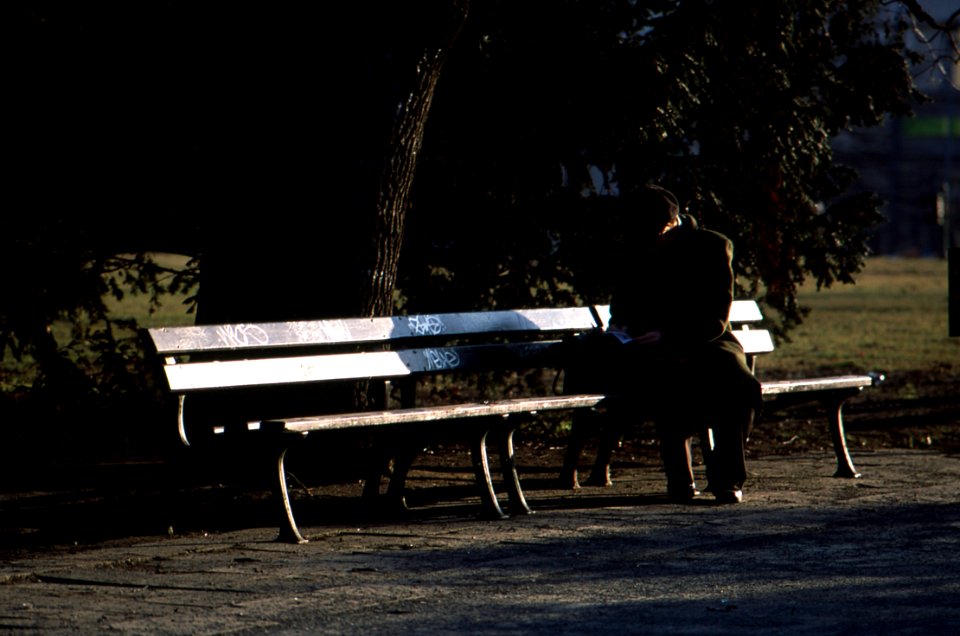 Praktica MTL3 + Helios 44-2 2/58 - Bench Scene