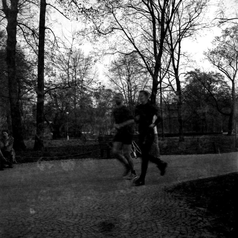 Flexaret 3a - Jogging in the Park photo