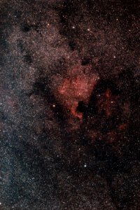 North America Nebula