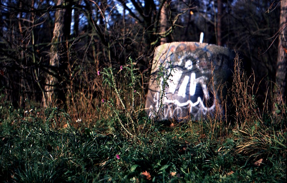 Exa + Tessar 2,8/50 - Edge of the Wood