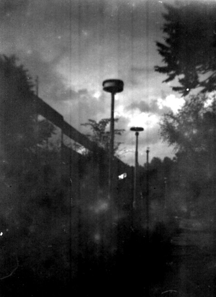 Holga 120FN - Beauties of Decay and Other Stories