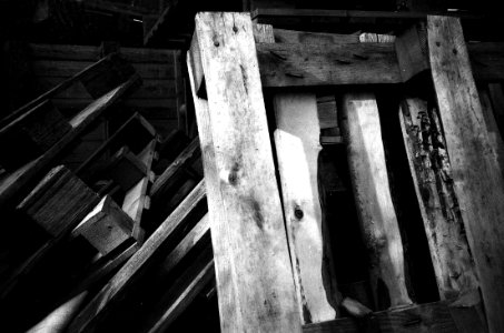 Ricoh XF-30D - Pallets