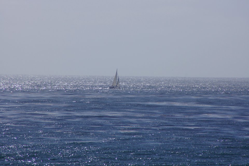 DSC08014