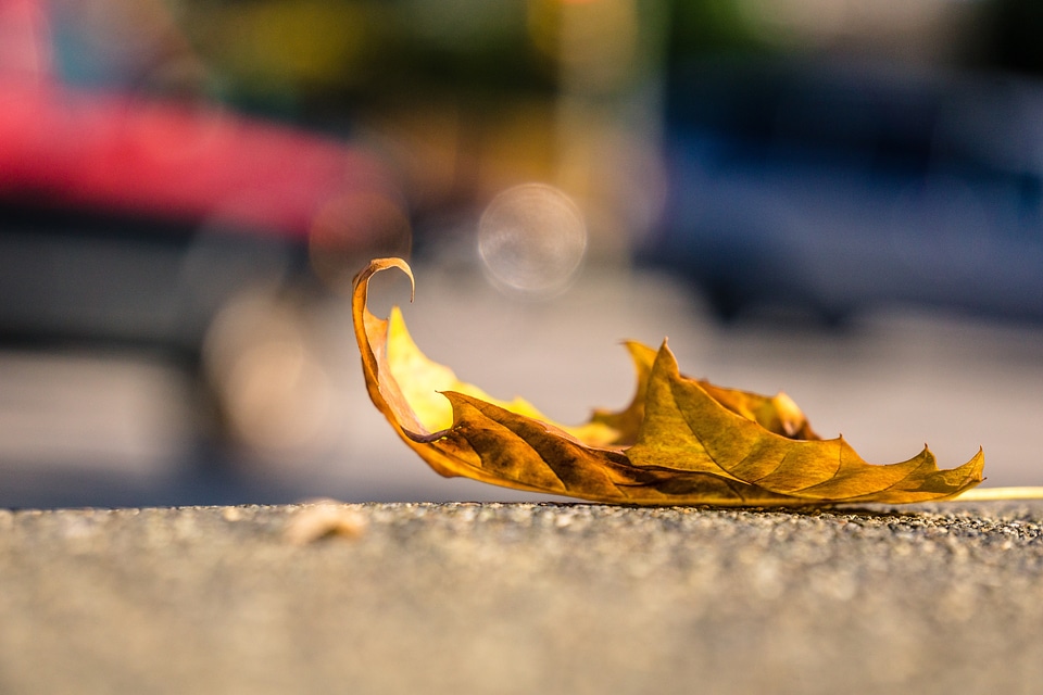 Separate golden isolated