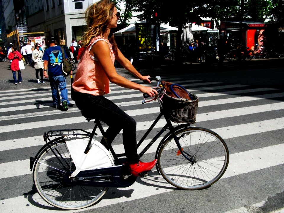 Copenhagen Traffic Calming photo