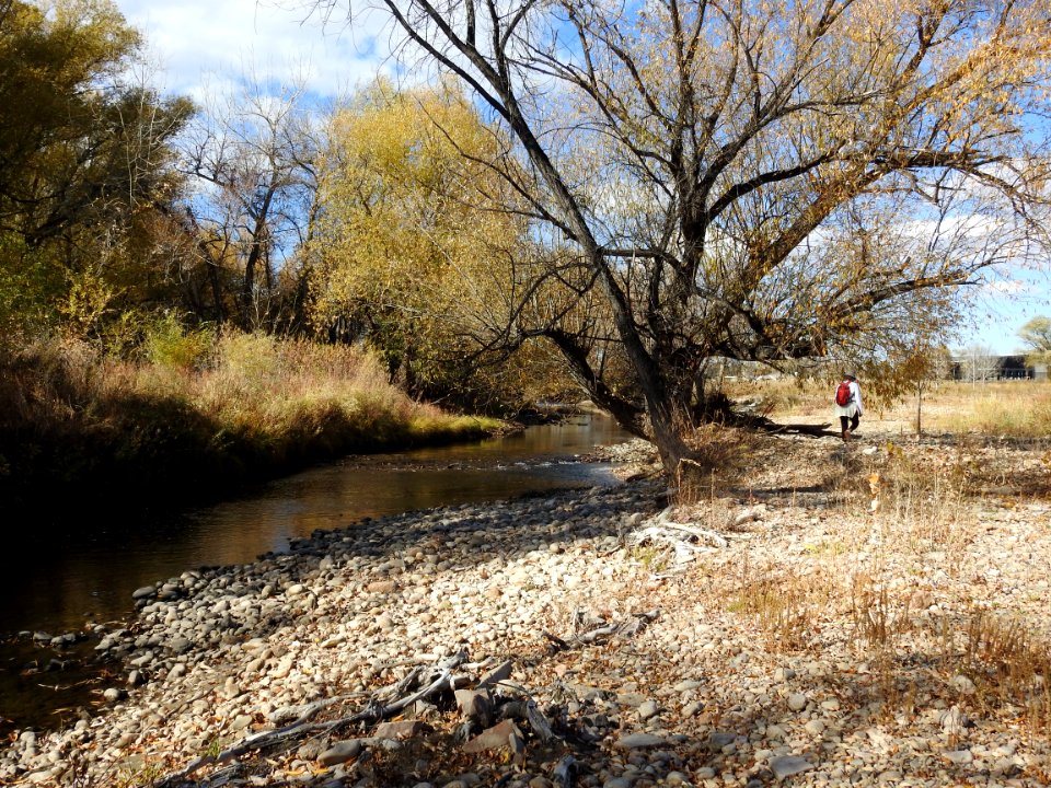 Springer Natural Area - Fort Collins.