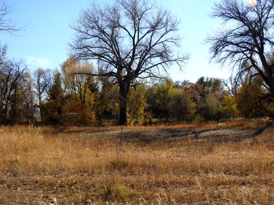 Springer Natural Area - Fort Collins.