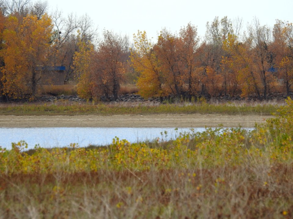 On the trail at Boyd Lake State Pk - Loveland, CO.